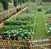 Garden 5.jpg