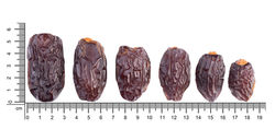 Dates Sizing