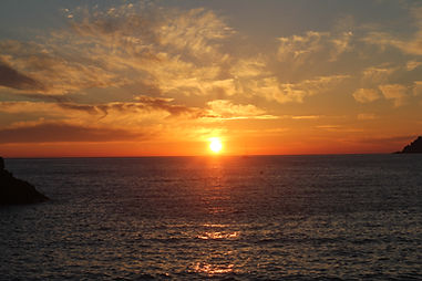 IMG_6353.JPG