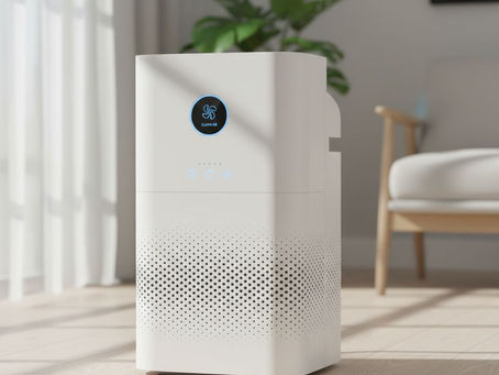 The 5 Most Important Features to Consider When Purchasing a Portable Home Air Purifier