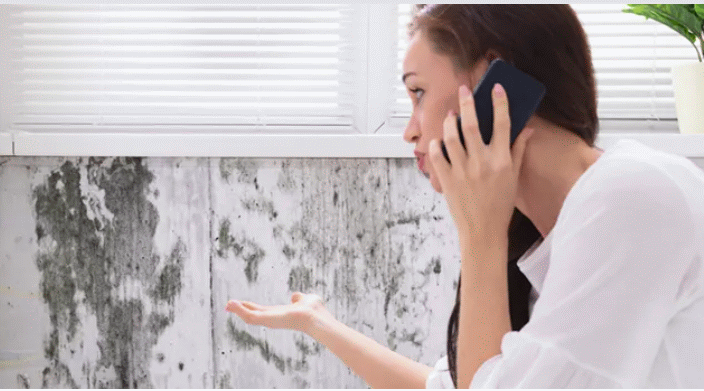 web_header_girl on phone.gif