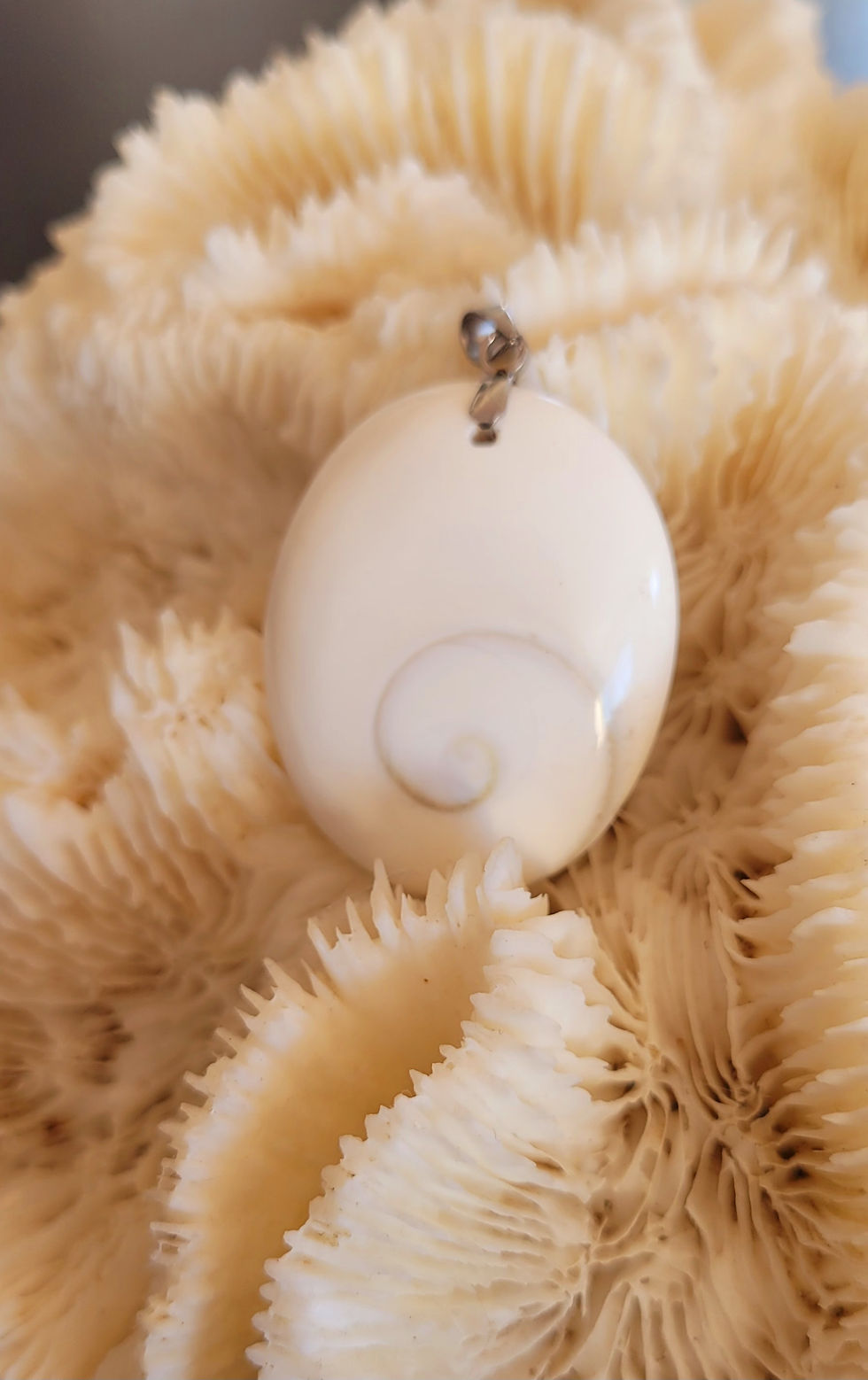 Miniature : Pendentif Oeil de Ste Lucie