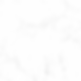 PAGINA WEB (6).png