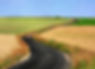 Paysage_Cevennes-route-champs_edited.jpg