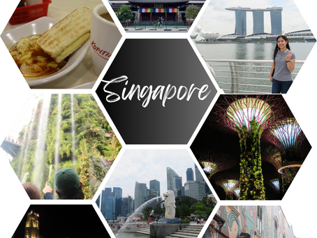 Top 11 Things to Know About Singapore: Making the Most of Your Experience in the Lion City