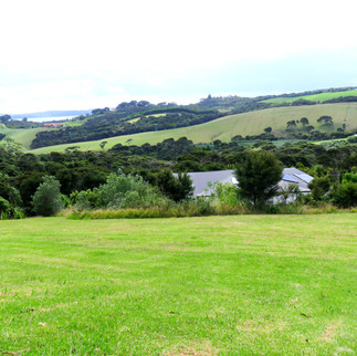 Grassy hills on our way to Hobbiton
