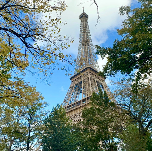 The Eiffel Tower amongst the trees
