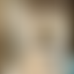 Some exhibited items in NYPL