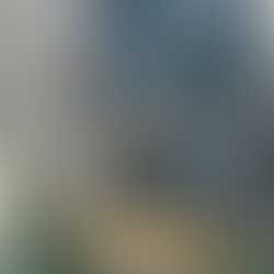 Baby Alpaca Paparazzi Shot in Opfikon