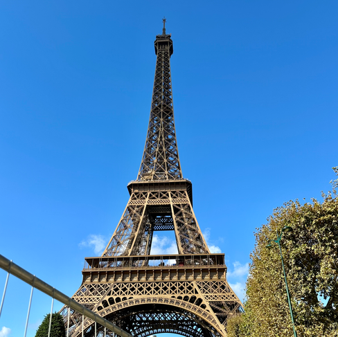 The Eiffel Tower and some trees