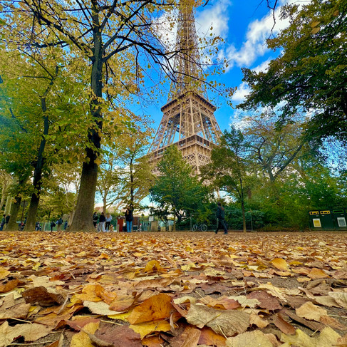 The Eiffel Tower amongst trees and autumn leaves