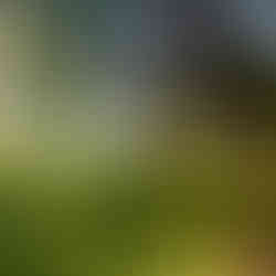 Kim at Waldweiher Mass, Opfikon