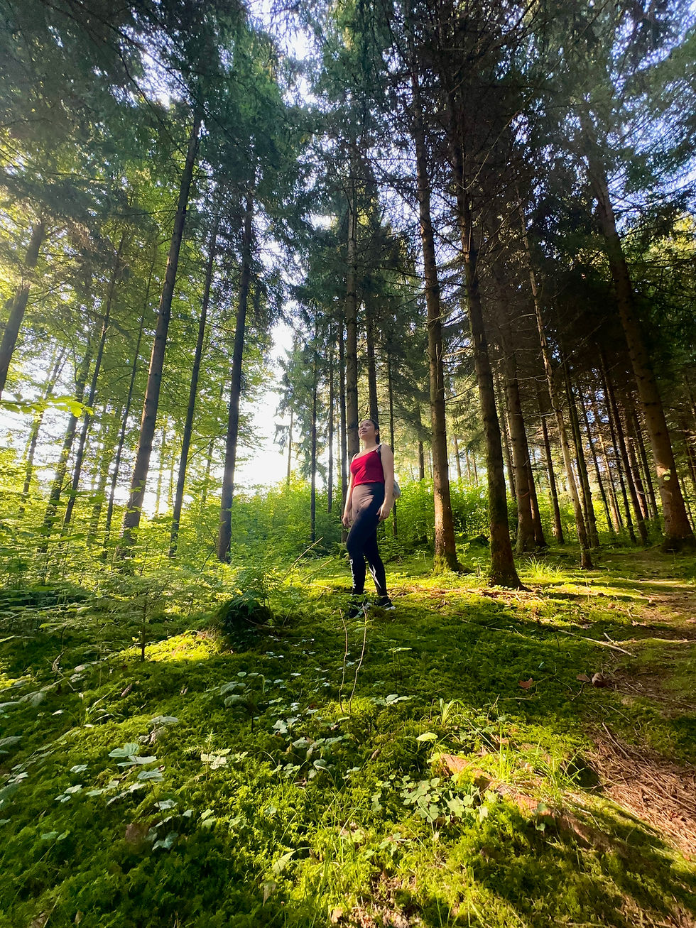 24 Hours in Zurich, Switzerland: A Budget-Friendly Tour