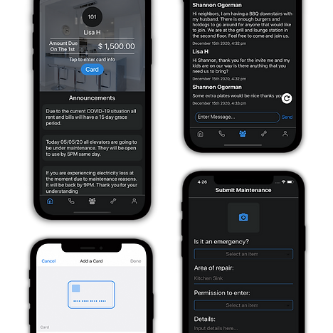 SB Develops - porject rent app