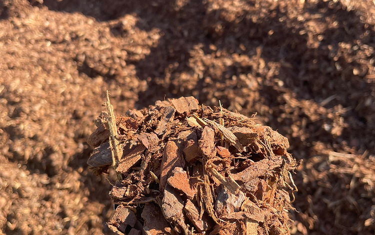 10mm Soft Fall Pine Bark in a scoop