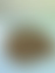 Unveiling the Beauty of Red-Brown Granitic: A Geological and Aesthetic Exploration