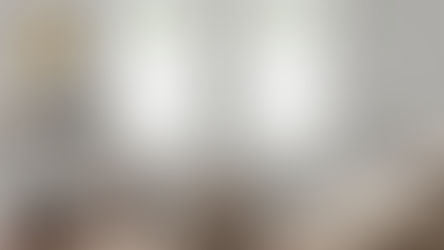 Top down bottom up shades in a living room setting