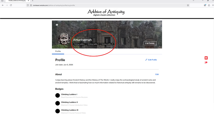 32. Profile Page (Progess Badges Earned-1).png