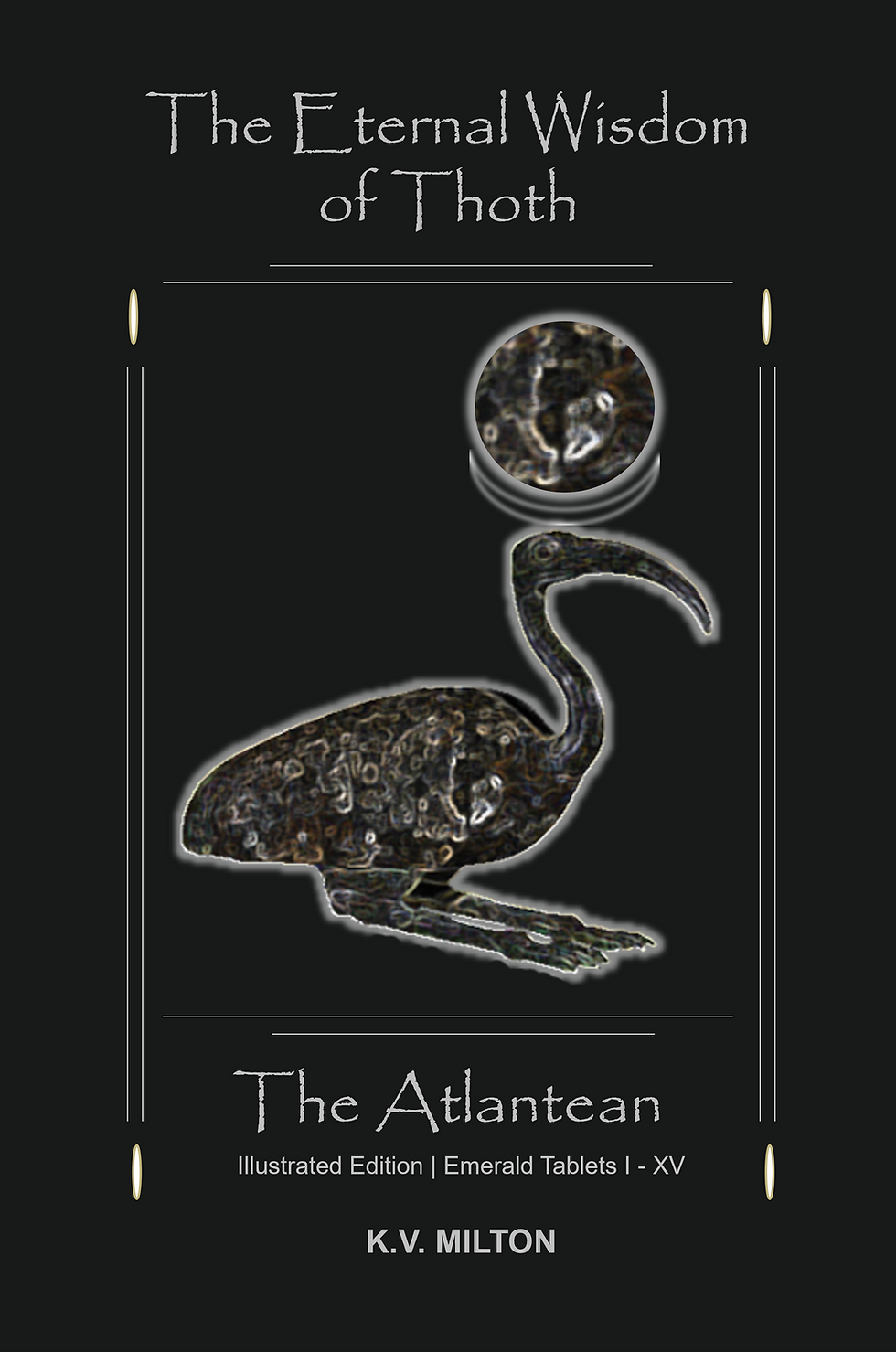 Amazon Front Cover