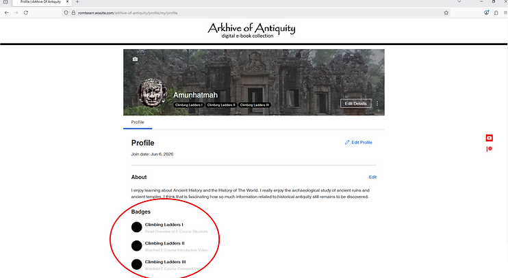 33. Profile Page (Progess Badges Earned-2).png