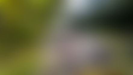 Is biking or walking a better recovery workout?