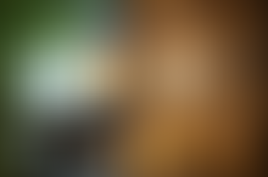 Cosa significa casa verde: materiali di costruzione e caratteristiche del concept