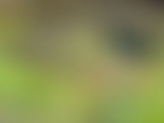 A favourite under threat