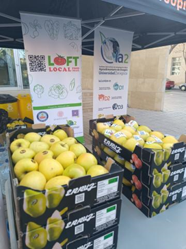 The LOFT project present in the VI AnimalRunizar Race