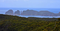 Tasman National Park