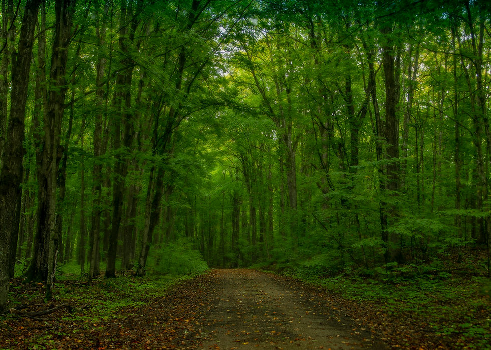 Thumbnail: Matted Original Print - 11x14" Print - Matted to16x20"