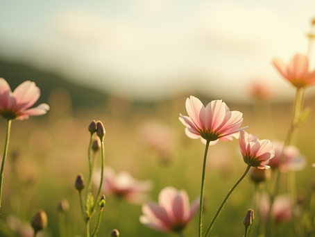 Understanding Menopause: Empowering Women Through Knowledge