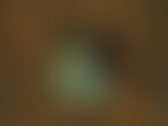 Orsi Cowell-Lehoczky SWA at the Fountain Gallery 14-26 May 2019