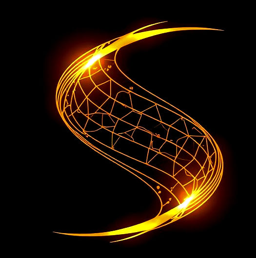 SSup Logo_edited.jpg