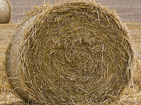 Ficelles Agricole Sisal et PP, Filets et Films Agricoles