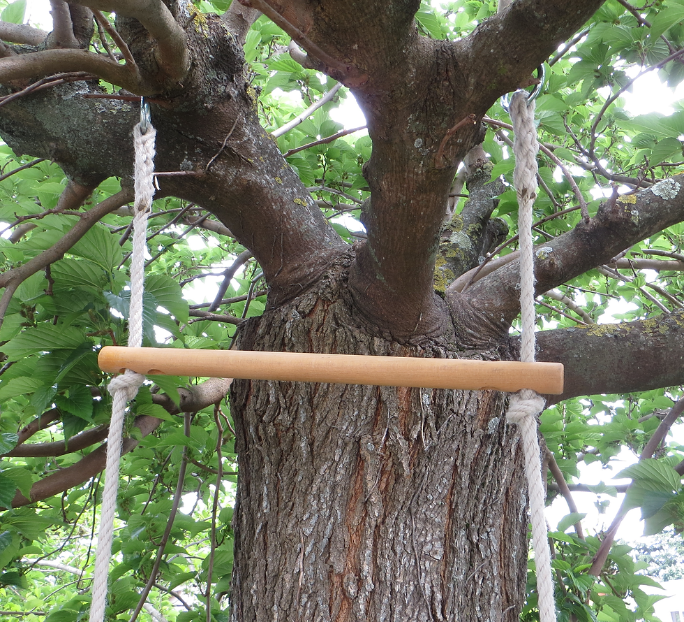 Miniature : Echelle de corde PPTEXT - échelons bois - 2m PRIX TTC