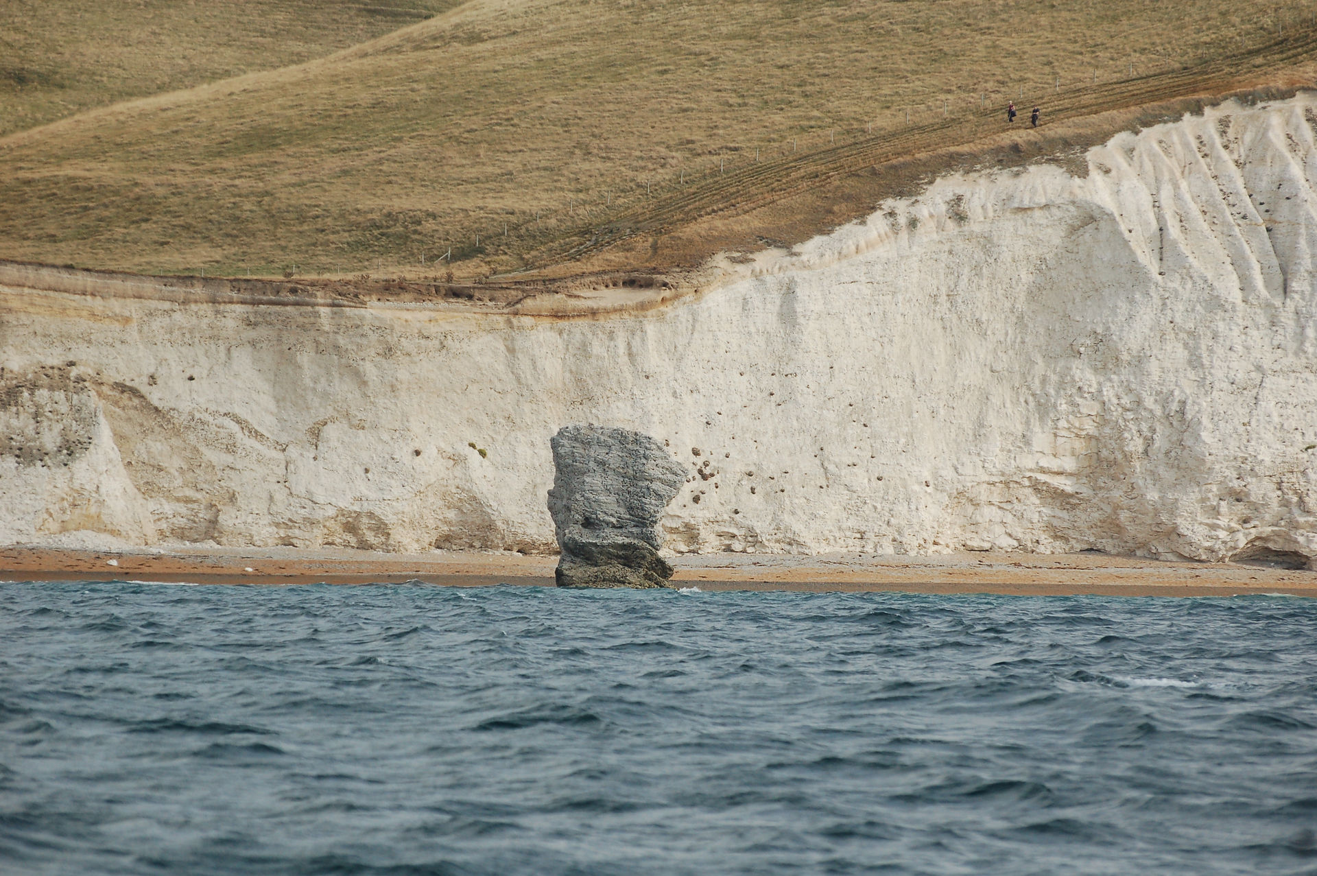 Bat's Head