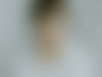 [대구점] 1월 10일 젤리피쉬 엔터테인먼트 내방오디션