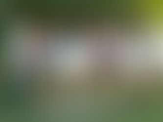 8월 키위 엔터테인먼트 내방오디션