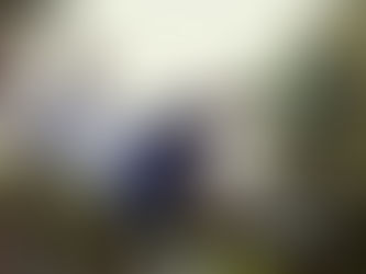 Vinny Walker e il bel gioco