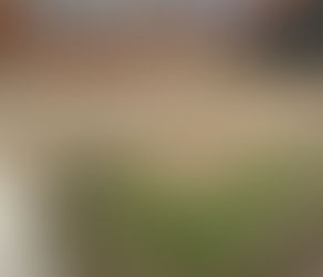 house clearance london