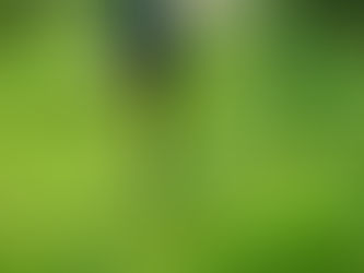 Professional Garden Waste Removal London