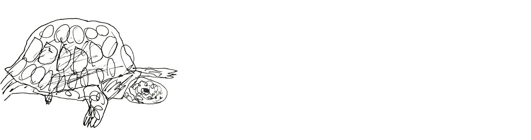 moving-tortoise3.gif