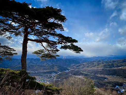 Aoyagi-Castle-Chikuhoku.jpg