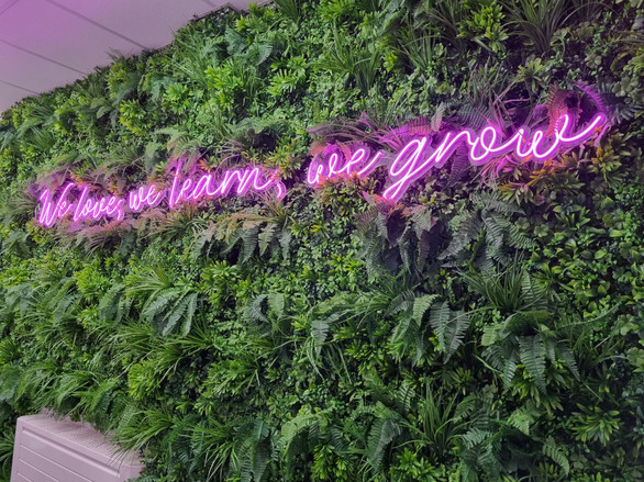 Faux Neon Signage Schools