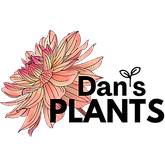 2025 LOGO.png