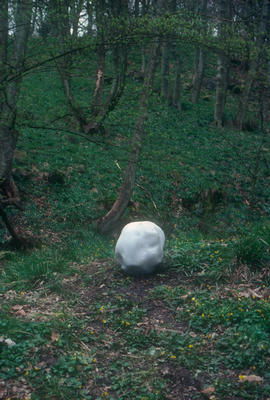 snow ball middleton woods