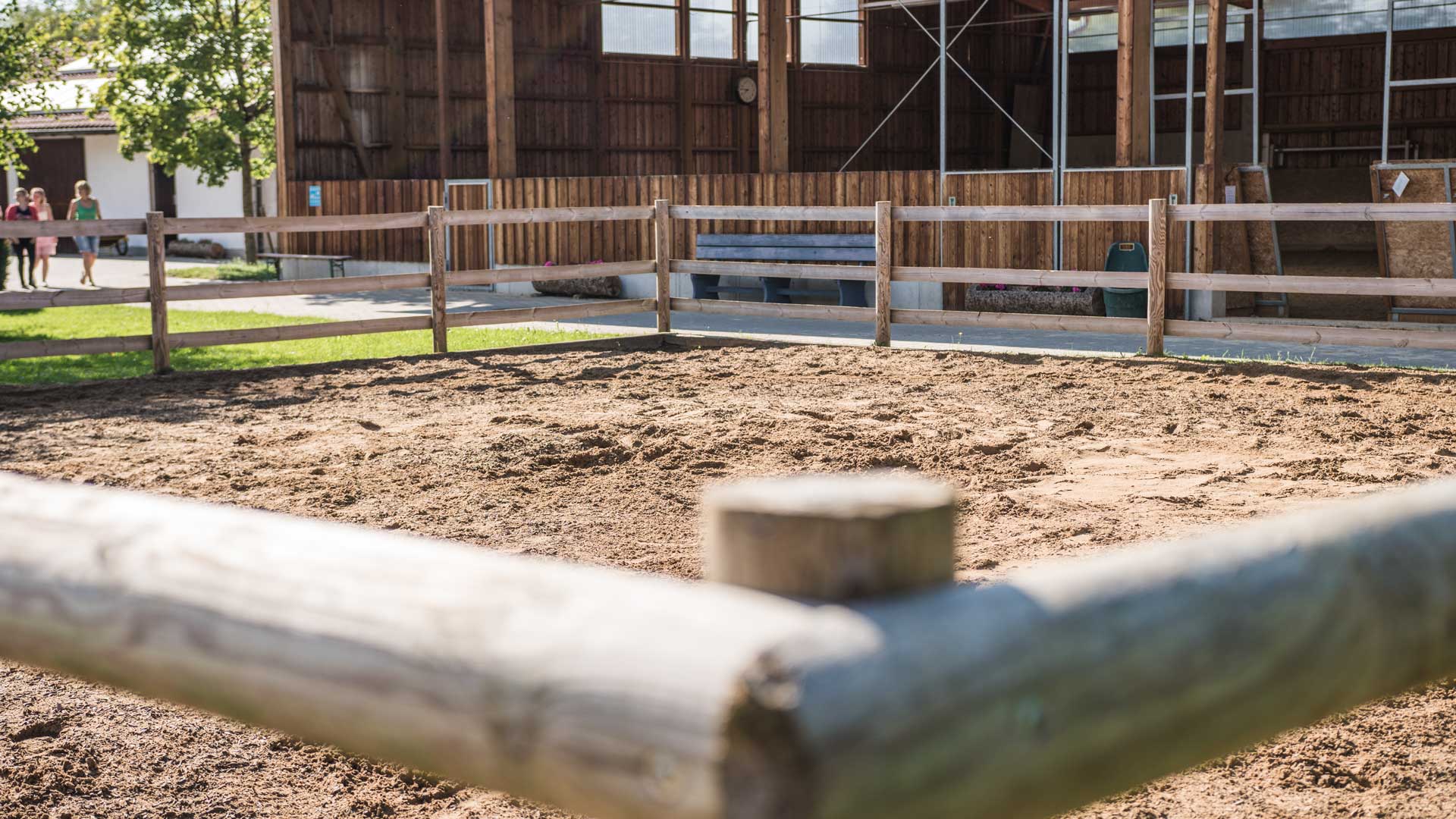 Pferdepension | Chieming | Gut Moierhof Pferdehof