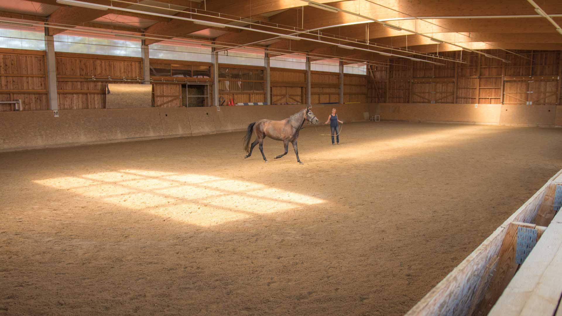 Pferdepension | Chieming | Gut Moierhof Pferdehof