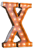 VLL-X_edited.png