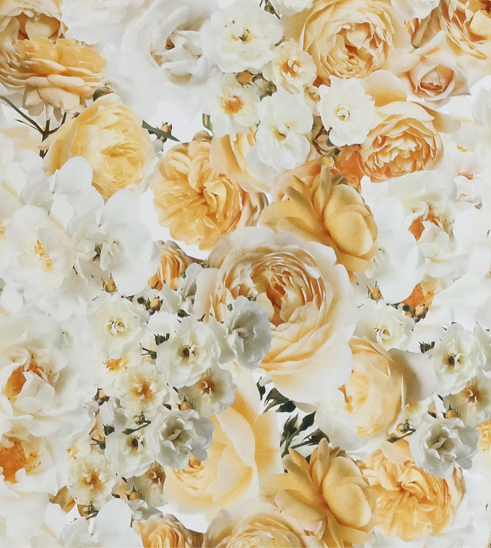 Thumbnail: Rose Wallpaper in Yellow - Non-Woven